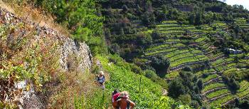 Hikers ascending to Volastra in the Cinque Terre | Phil Wyndham